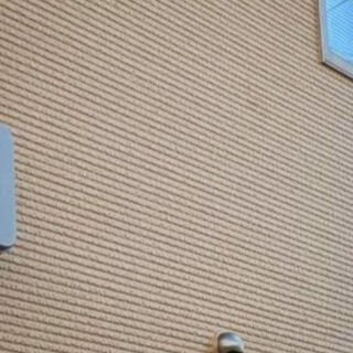 【塗装】塗装が完成したお家を拝見！